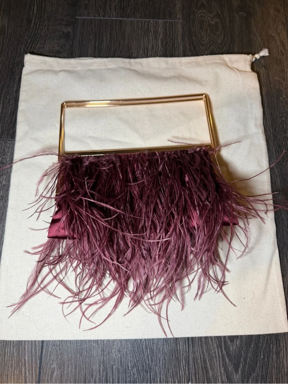 Zara Feather Fringe Evening Clutch in Plum with Gold Frame
